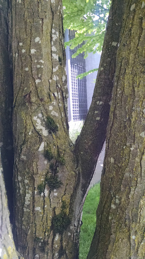 Museum «Frye Art Museum», reviews and photos, 704 Terry Ave, Seattle, WA 98104, USA