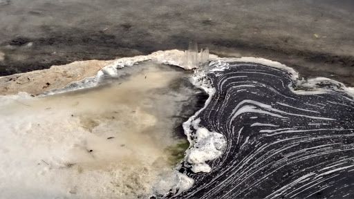 State Park «Cape May Point State Park», reviews and photos, Light House Ave, Cape May Point, NJ 08212, USA