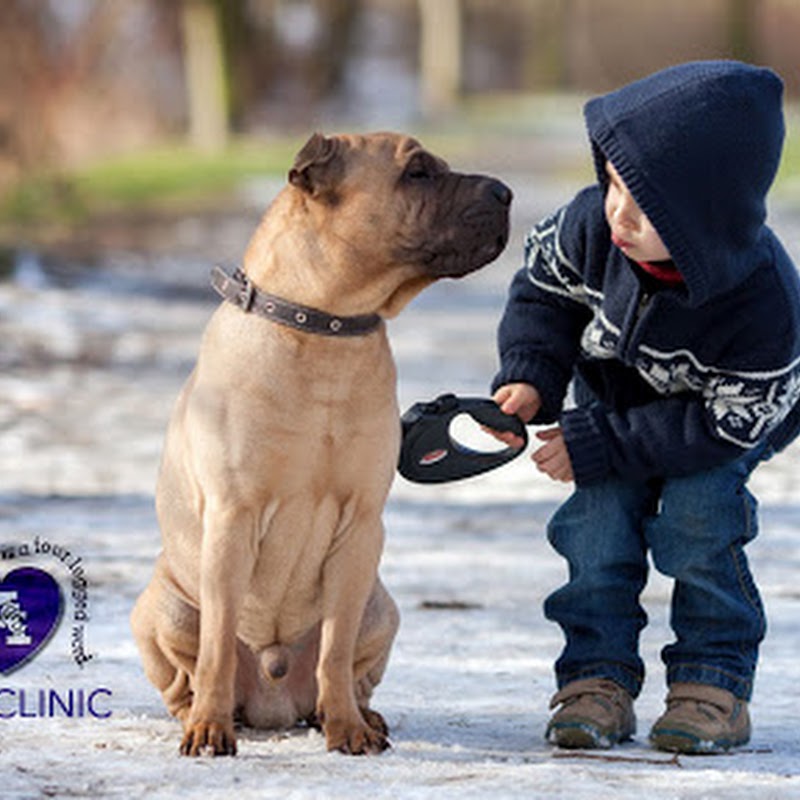 Animal Care Clinic