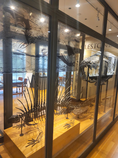 Museum «Beneski Museum of Natural History», reviews and photos, 11 Barrett Hill Rd, Amherst, MA 01002, USA