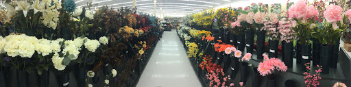 Craft Store «Hobby Lobby», reviews and photos, 6797 E Genesee St, Fayetteville, NY 13066, USA