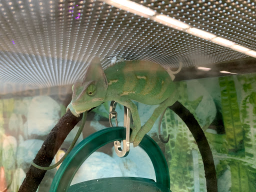 Pet Supply Store «Petco Animal Supplies», reviews and photos, 806 Sunrise Hwy, Baldwin, NY 11510, USA