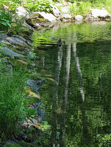 Sightseeing Tour Agency «Acadia National Park Tours», reviews and photos, 53 Main St, Bar Harbor, ME 04609, USA