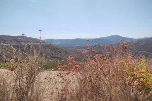 Sunrise National Scenic Byway image