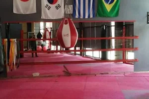 MMA, Kick Boxing, Πυγμαχία, Judo, Brazilian Jiu Jitsu από τη σχολή πολεμικών τεχνών Ilida Fighting Academy, Πύργο και Αμαλιάδα. image