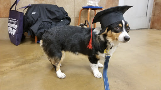 Pet Supply Store «PetSmart», reviews and photos, 19320 Nordhoff Way, Northridge, CA 91324, USA