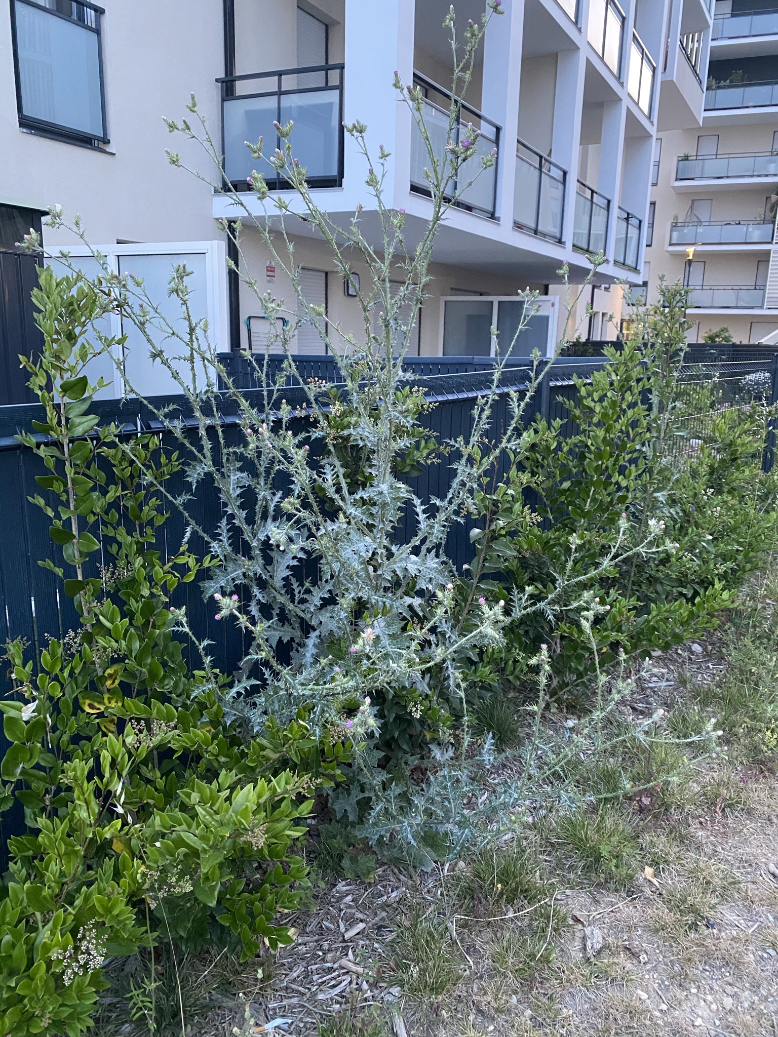 Photo n° 3 de l'avis de RAPHAEL.N fait le 11/05/2023 à 15:58