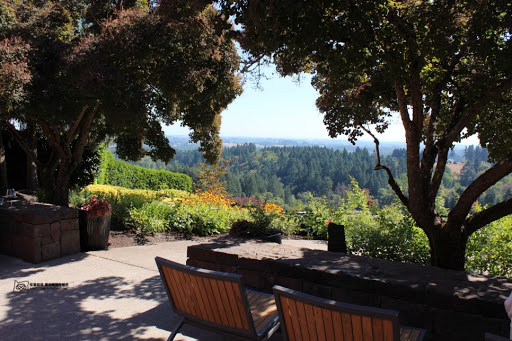 Winery «Archery Summit Winery», reviews and photos, 18599 NE Archery Summit Rd, Dayton, OR 97114, USA