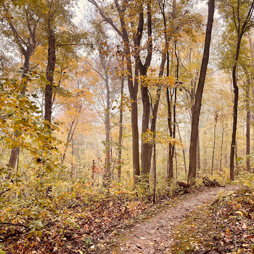 Matson Hill Trail