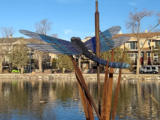 Nature Preserve «Virginia Lake», reviews and photos, 1980 Lakeside Dr, Reno, NV 89509, USA