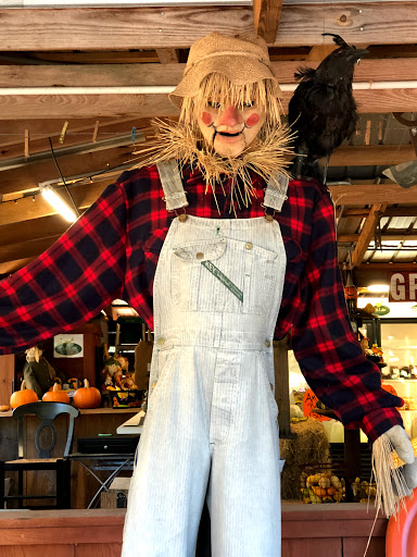 Event Venue «Club Lake Plantation Wedding Venue», reviews and photos, 3403 Rock Springs Rd, Apopka, FL 32712, USA