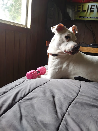 Pet Supply Store «Mini Pet Mart», reviews and photos, 1740 Oregon Coast Hwy, Newport, OR 97365, USA