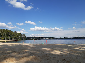 Claystone beach parking