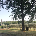 Photo n°1 de l'avis de Giorgia.. fait le 08/08/2020 à 15:36 sur le  Agriturismo Podere Campinovi à Colle di Val d'Elsa