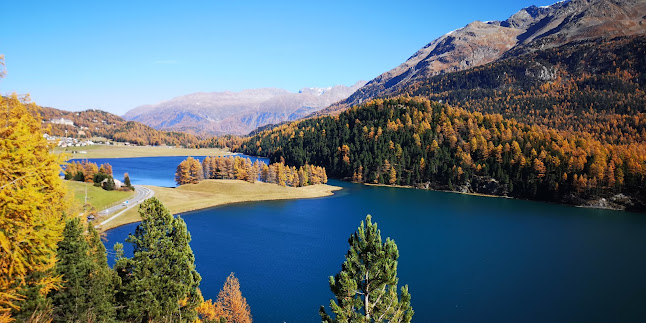 Rezensionen über Engadin-Pictures in Davos - Fotograf