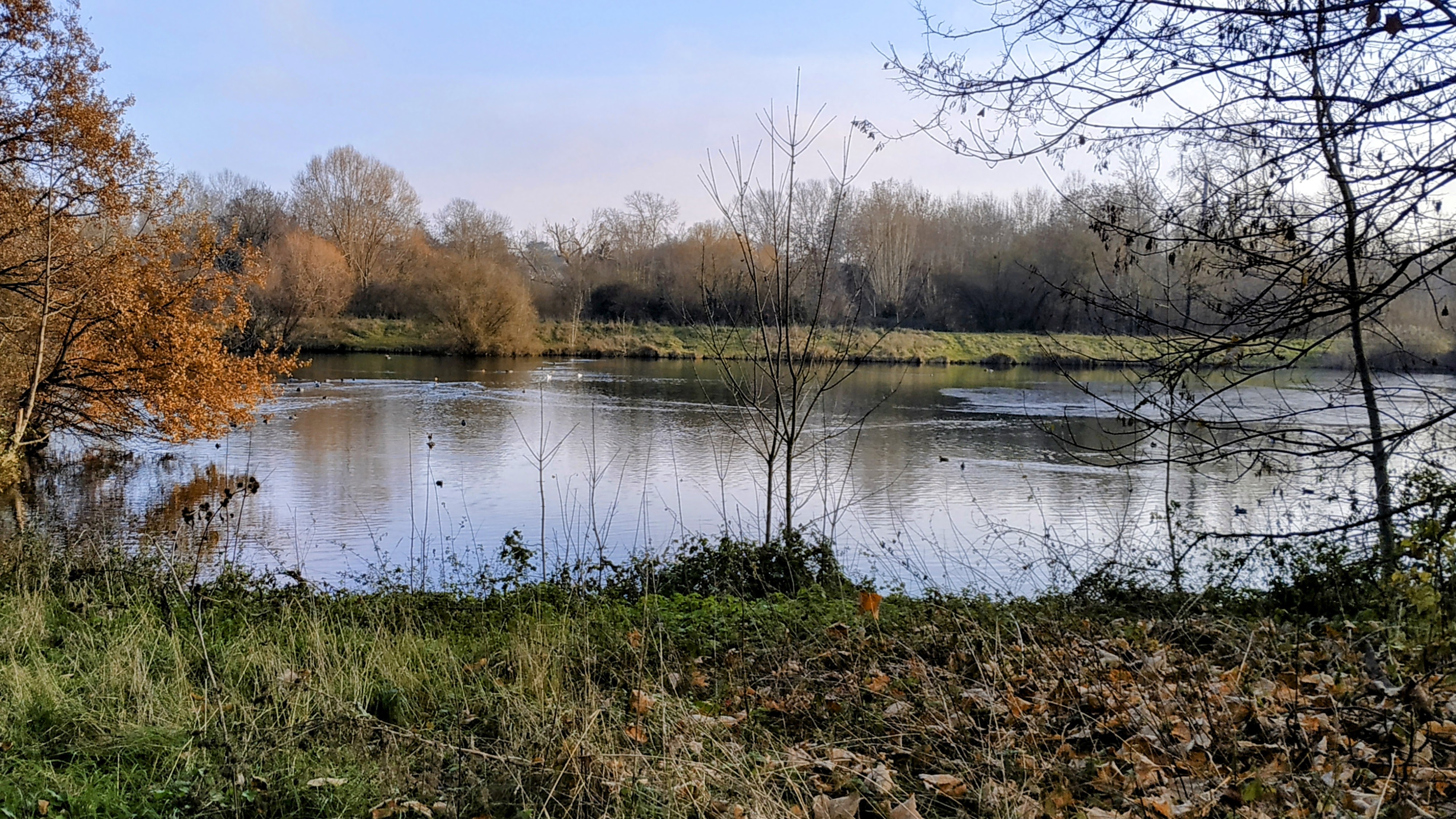 Photo n° 5 de l'avis de The.a fait le 28/12/2022 à 17:01