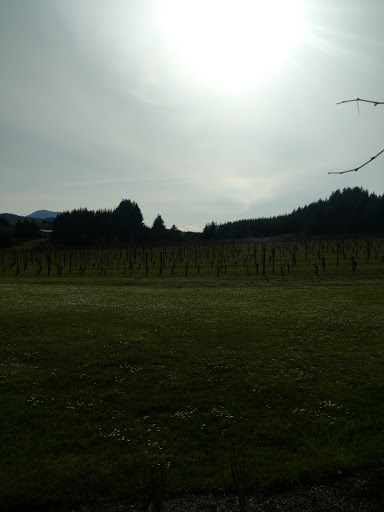 Winery «Cardwell Hill Cellars», reviews and photos, 24241 Cardwell Hill Dr, Philomath, OR 97370, USA