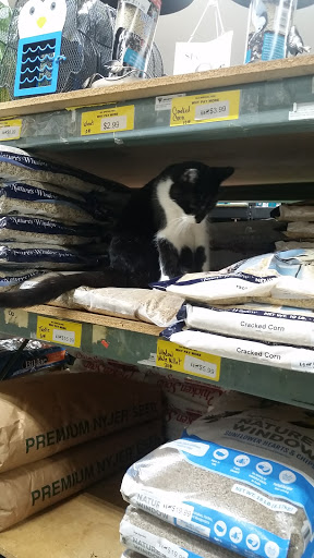 Pet Supply Store «K-9 Specialties», reviews and photos, 31936 Mound Rd, Warren, MI 48092, USA