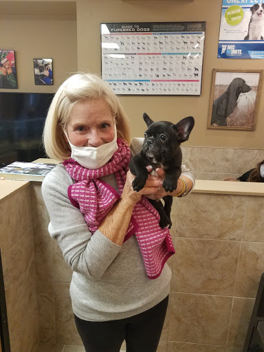 Pet Store «Perfect Pets», reviews and photos, 6840 S University Blvd #410, Centennial, CO 80122, USA