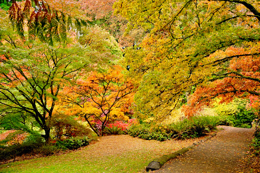 Botanical Garden «Washington Park Arboretum - UW Botanic Gardens», reviews and photos, 2300 Arboretum Dr E, Seattle, WA 98112, USA