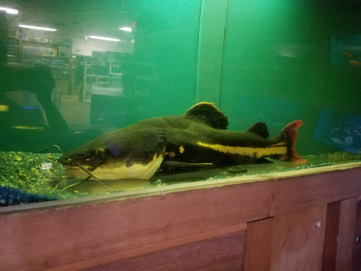 Tropical Fish Store «Ocean Aquarium», reviews and photos, 6820 E Black Horse Pike, Egg Harbor Township, NJ 08234, USA