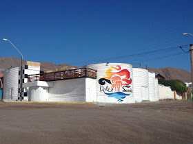 Disco Antofagasta