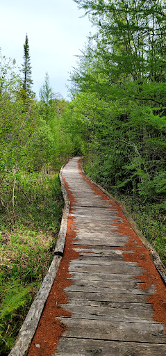 Nature Preserve «Teichner Preserve: The Leelanau Conservancy», reviews and photos, 5234 S Lime Lake Rd, Cedar, MI 49621, USA