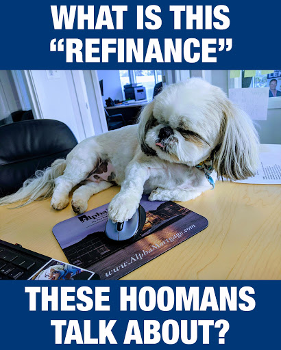 Mortgage Lender «Alpha Mortgage Corporation», reviews and photos