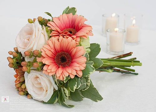 Florist «Joseph Genuardi Florist Inc», reviews and photos, 410 E Fornance St, Norristown, PA 19401, USA