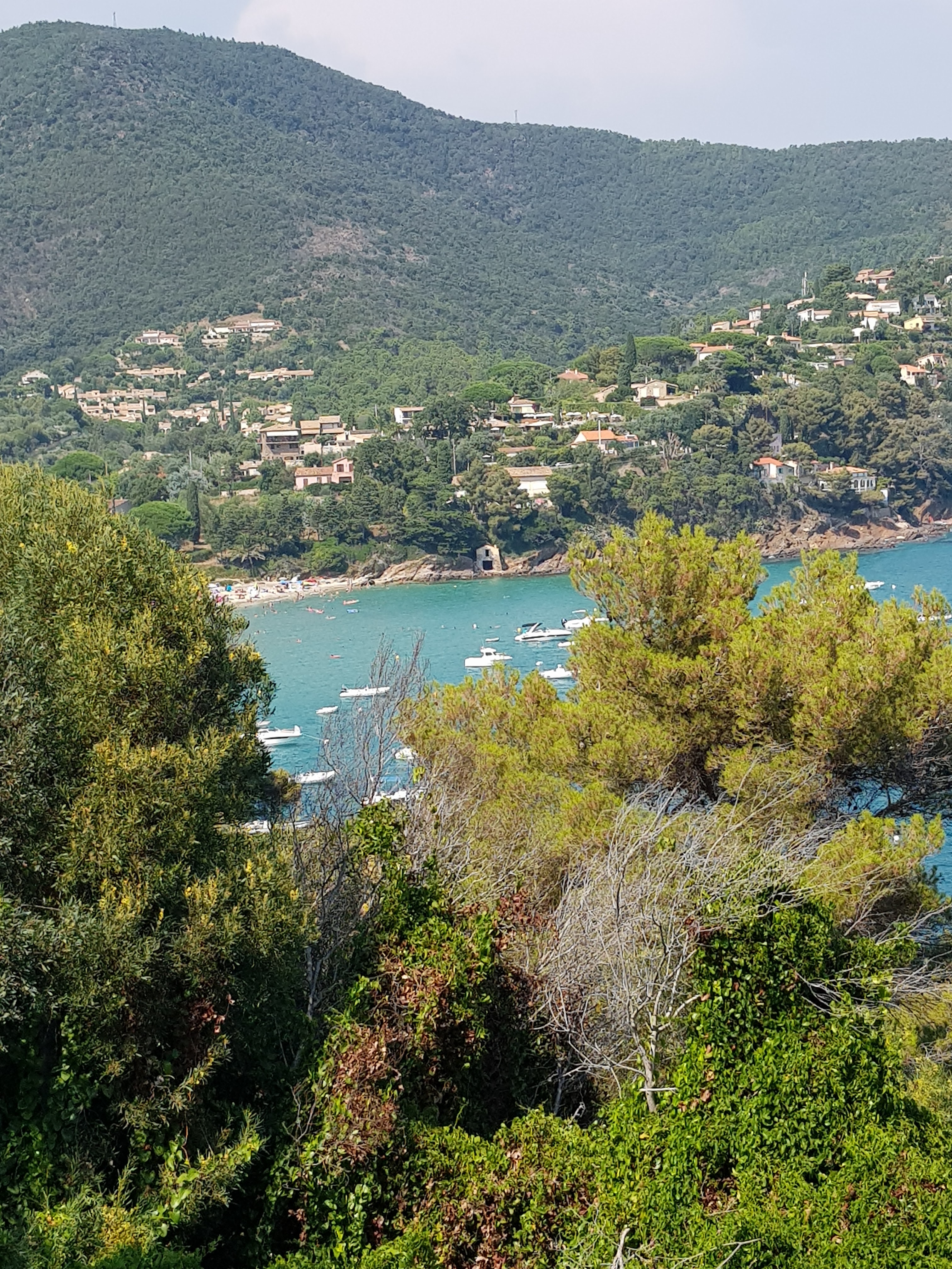 Photo n° 2 de l'avis de Olivier.r fait le 29/08/2018 à 10:34
