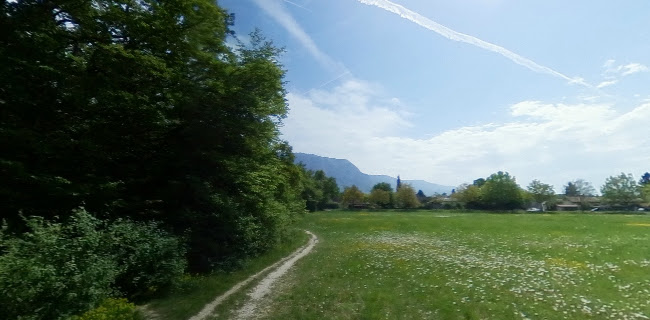 Rezensionen über Mini-Pattes in Genf - Hundeschule