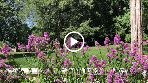 Live Music Venue «Caramoor Center for Music and the Arts», reviews and photos, 149 Girdle Ridge Rd, Katonah, NY 10536, USA