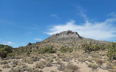 Oak Springs Trilobite Area image