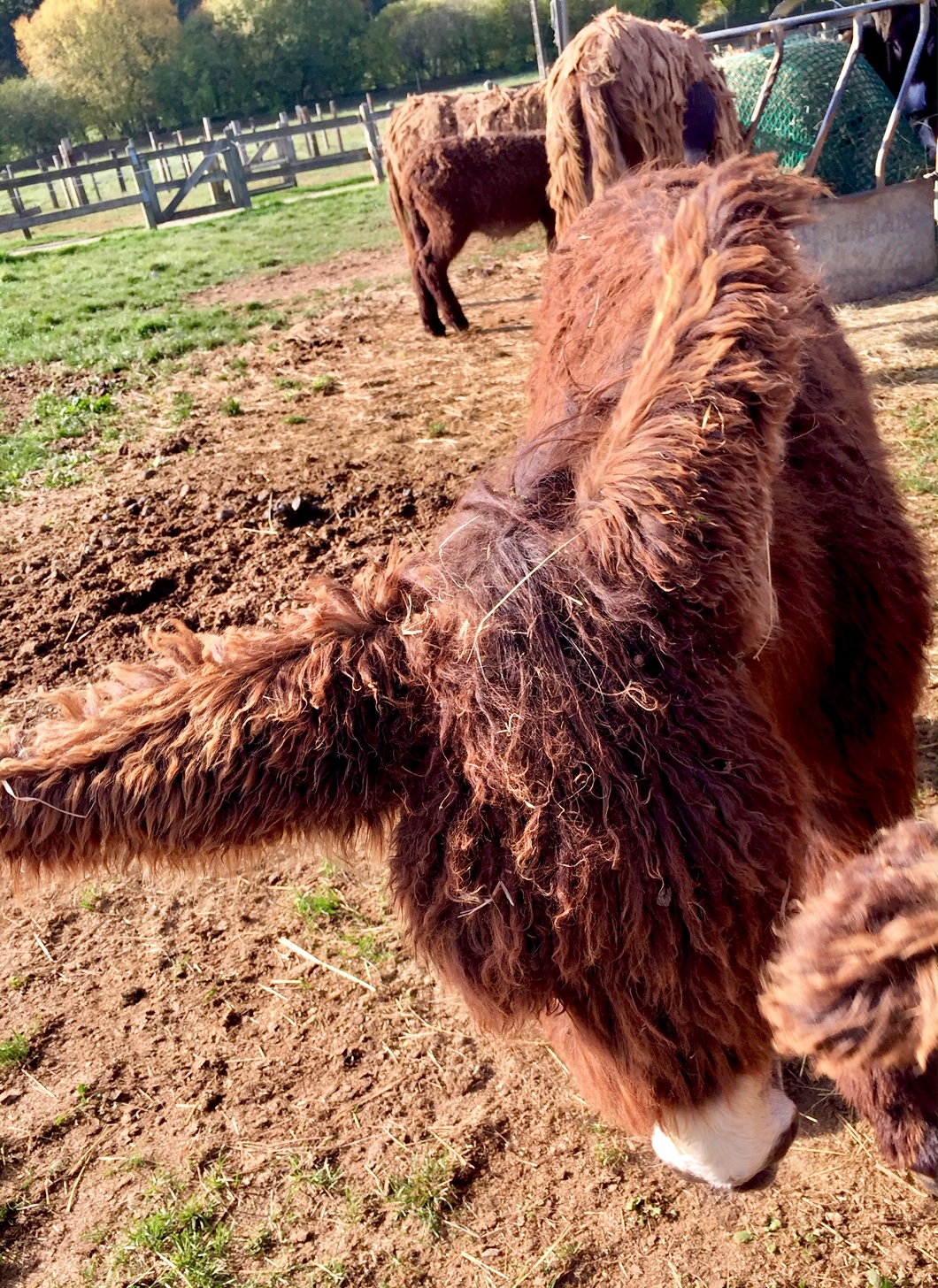 Photo n° 9 de l'avis de Paul.� fait le 18/05/2020 à 06:59