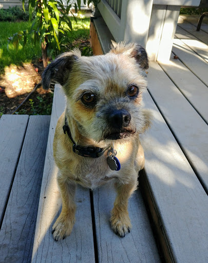 Pet Supply Store «Petco Animal Supplies», reviews and photos, 85 State St, Orem, UT 84058, USA