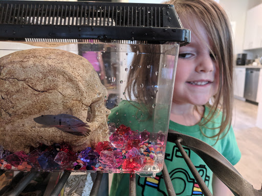 Pet Supply Store «Chico Pet Works & Pet Salon», reviews and photos, 2201 Pillsbury Rd # 186, Chico, CA 95926, USA