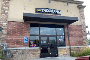 TacoMania image