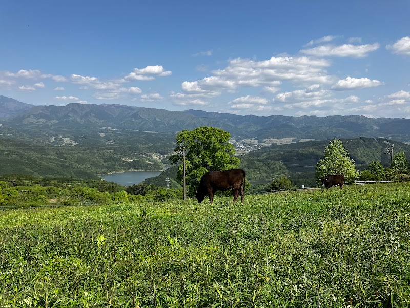 東濃牧場