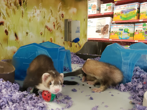 Pet Supply Store «Petco Animal Supplies», reviews and photos, 4167 Cheshire Station Plaza, Dale City, VA 22193, USA