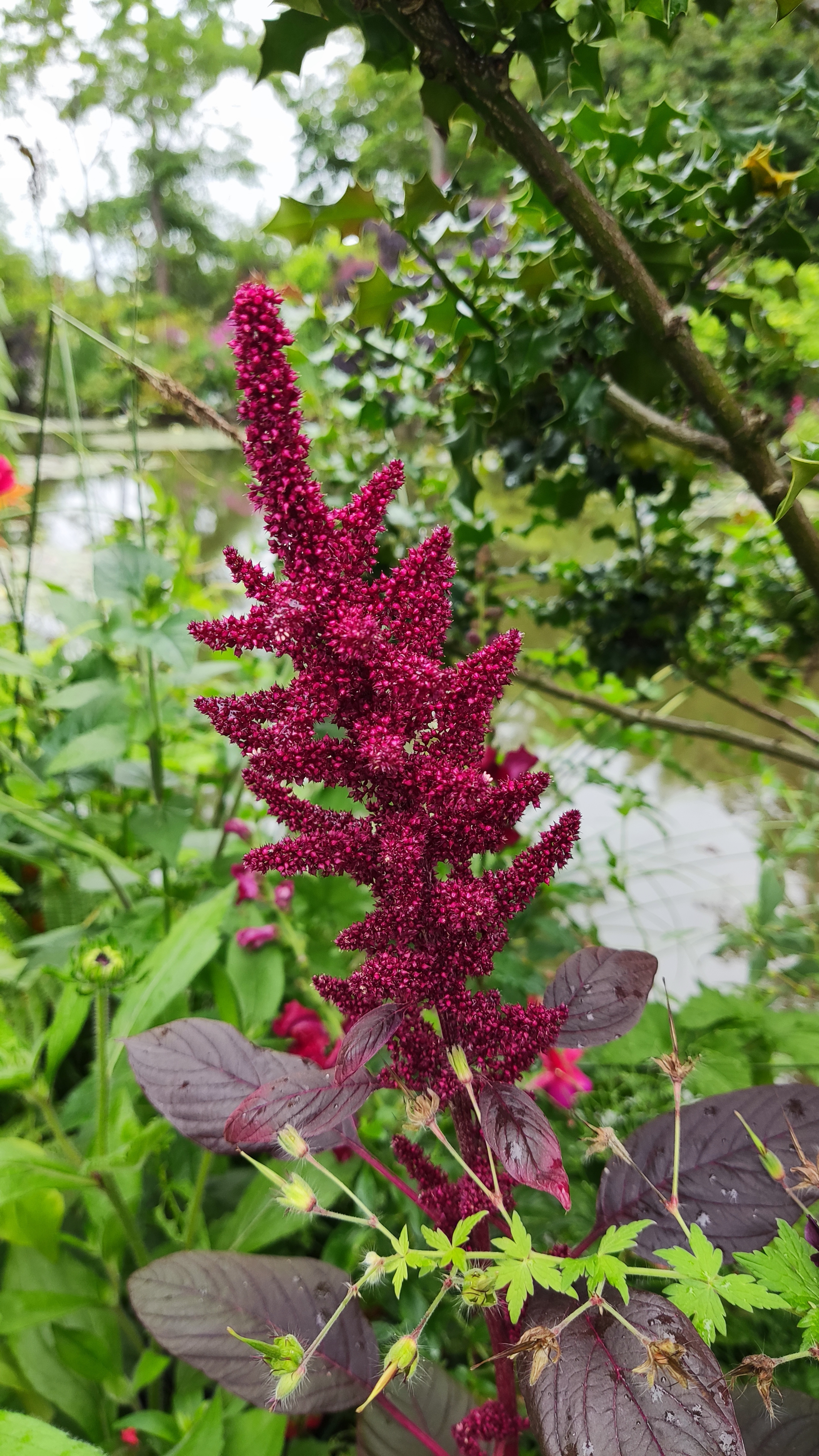 Photo n° 4 de l'avis de Cédric. fait le 03/07/2021 à 14:39