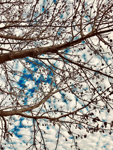 Park «Cottell Park», reviews and photos, 5847 Irwin Simpson Rd, Mason, OH 45040, USA