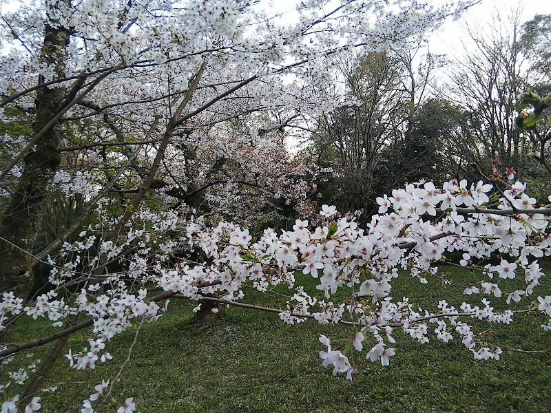 八坂神社児童遊園地