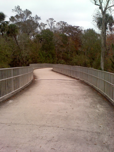 Park «Big Tree Park», reviews and photos, 761 General Hutchison Pkwy, Longwood, FL 32750, USA