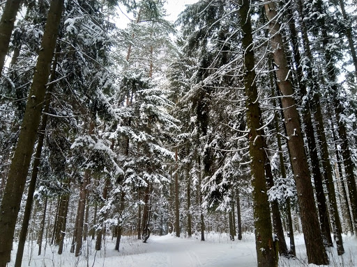 Trail running shops in Minsk