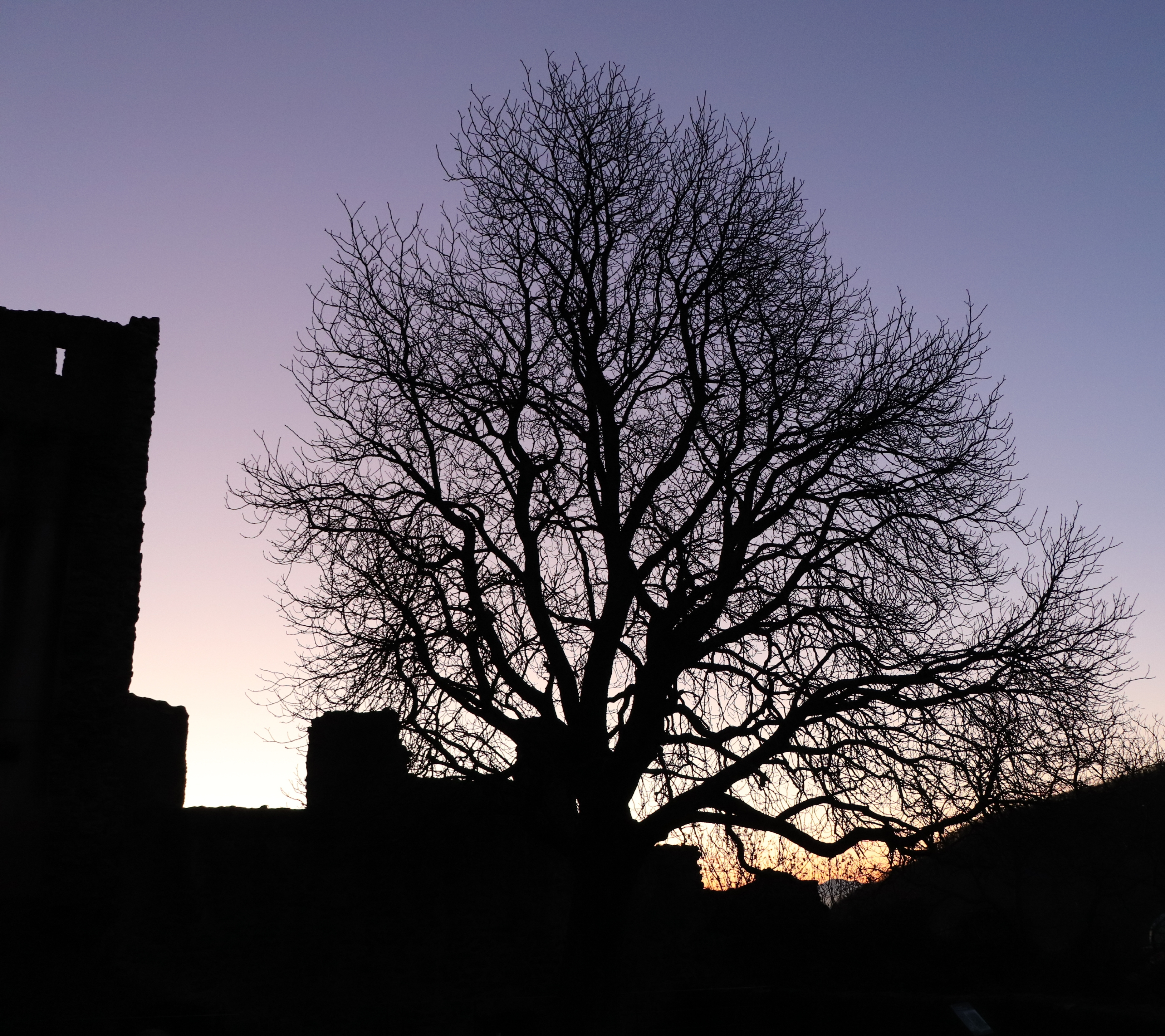 Photo n° 4 de l'avis de Thomas.c fait le 19/02/2019 à 15:46