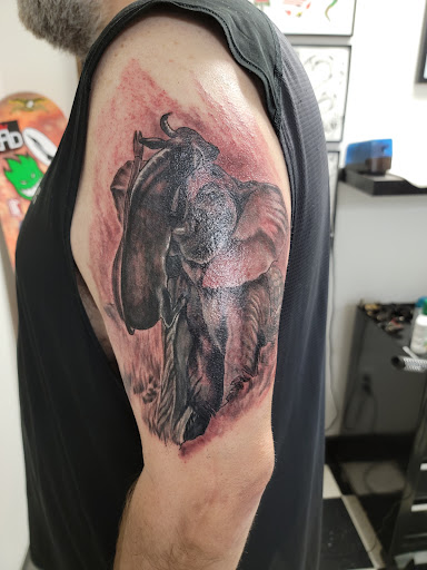 Tattoo Shop «American Anchor Tattoo Co.», reviews and photos, 312 Bridge St, New Cumberland, PA 17070, USA