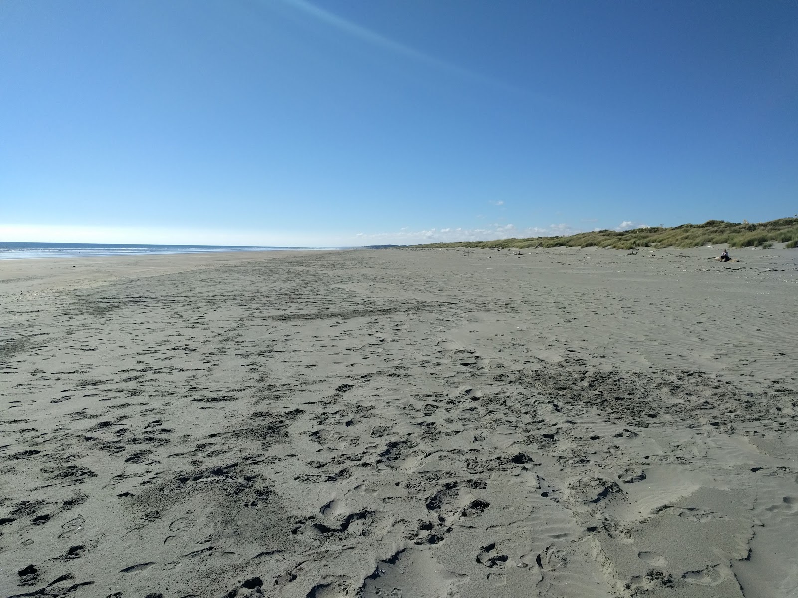 Waikawa Beach的照片 位于自然区域