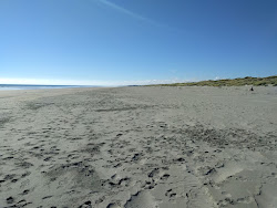 Waikawa Beach的照片 位于自然区域