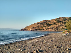 Paralia Ampelia'in fotoğrafı çok temiz temizlik seviyesi ile