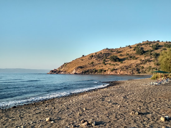 Paralia Ampelia
